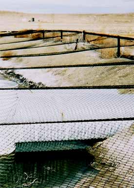 American Netting - Environmentally Safe